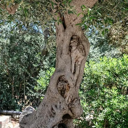 Dom wakacyjny Pugliamandia *