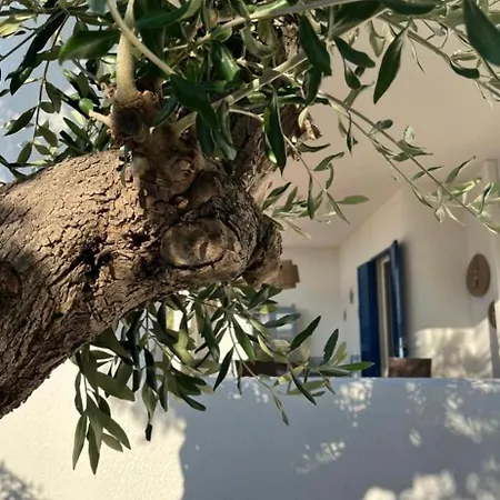 Pugliamandia Dom wakacyjny Monopoli