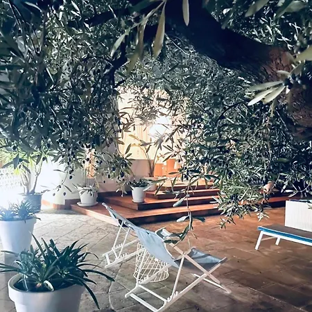 Pugliamandia * Monopoli