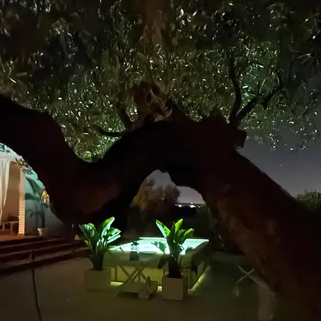 Pugliamandia Dom wakacyjny Monopoli